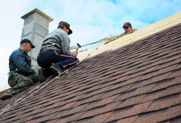Best Roof Gutter Cleaning  in Affton, MO